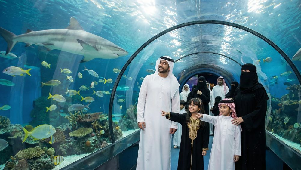 Dubai Aquarium Entry Ticket